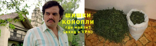 ПСИЛОЦИБИНОВЫЕ ГРИБЫ Арсеньев