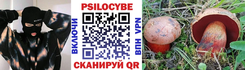 Галлюциногенные грибы мицелий  Североуральск 